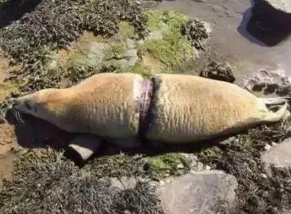 1634630765795945.jpeg 8.jpeg